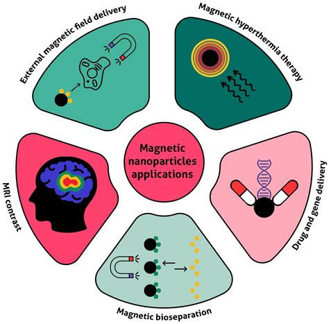  Magnetite: Nanocząstki Z Futurystycznym Potencjałem w Elektronice i Medycynie!