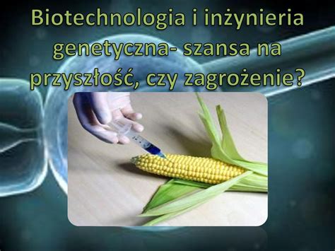 Oats - Zastosowanie w Przemyśle Spożywczym i Produkcja na Skalę Przemysłową!