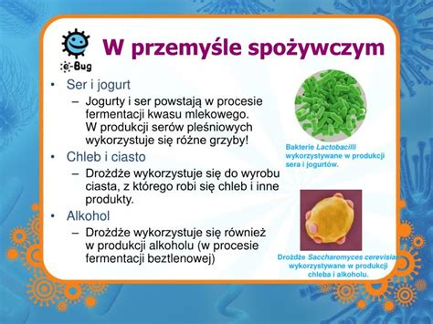  Oats: Zboże wszechstronne w przemyśle spożywczym i kosmetycznym!